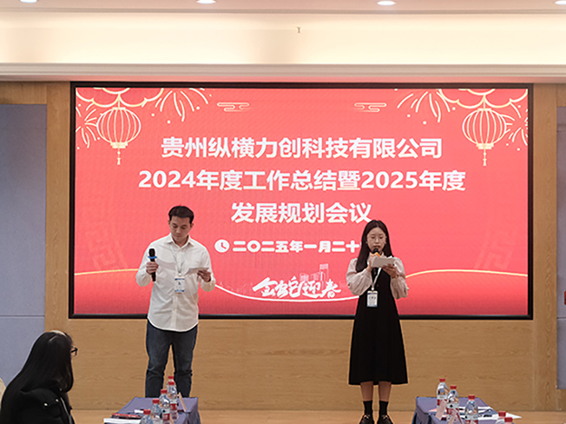 公司2024年度工作总结 暨2025年度发展规划会议圆满召开
